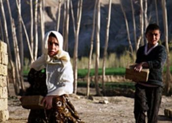 Poverty: When Selling a Pen Becomes the Price of a Dream