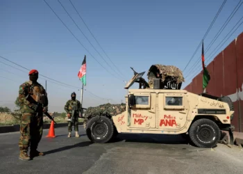 Freedom Front: Taliban Killed 123 Former Military Personnel in 2025