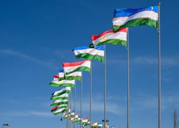 Tajik and Uzbek Officials Discuss Border Security with Afghanistan