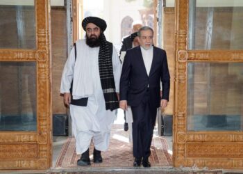 Muttaqi Discusses Tehran–Washington Talks With Iranian Foreign Minister