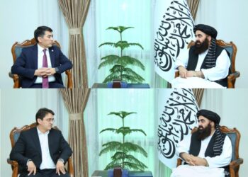 Muttaqi Holds Talks With Uzbek, Kyrgyz Officials on Bilateral Relations