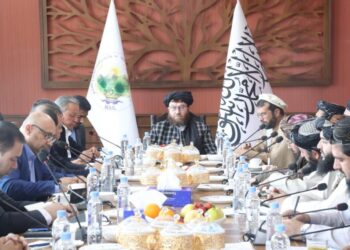 Taliban Agriculture Minister: This Year Afghanistan Food Self-Sufficiency Year