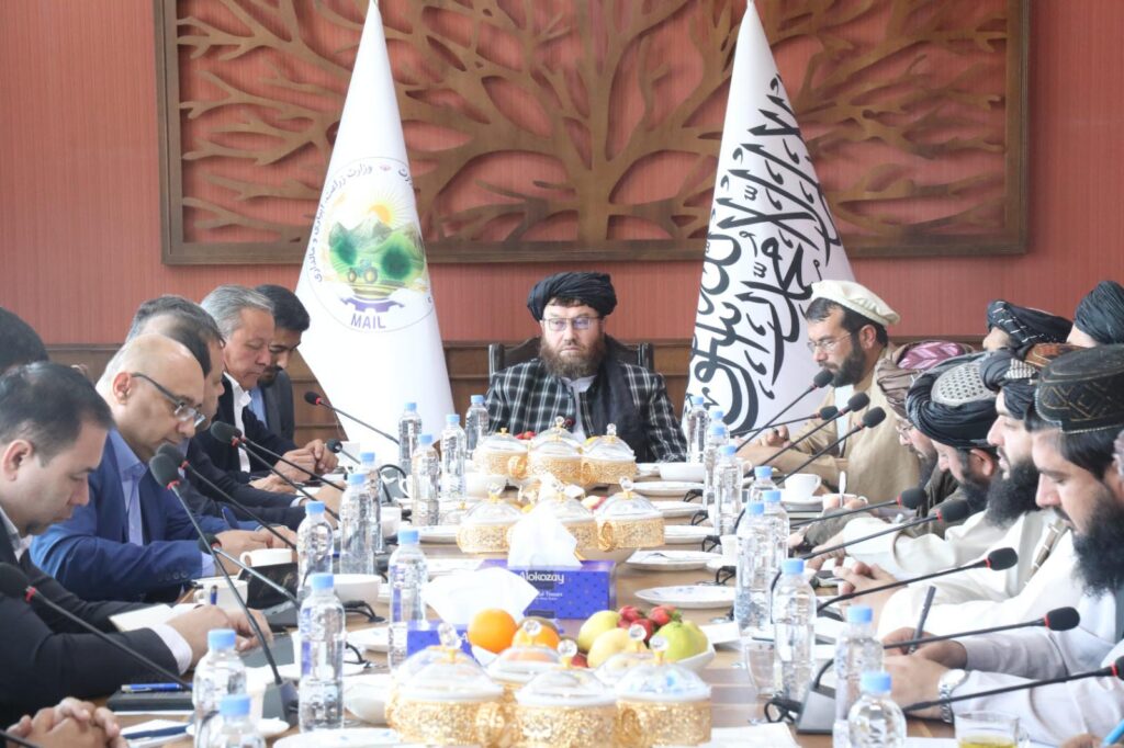 Taliban Agriculture Minister: This Year Afghanistan Food Self-Sufficiency Year