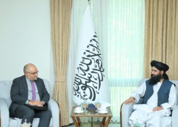 Taliban, Citing European Diplomat, Say Europe’s Door Is Open to Afghan Exports
