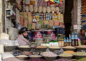 WFP: Food Prices Rise in Afghanistan