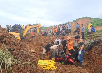 Les inondations en Asie du Sud-Est font près de 462 morts