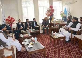 طالبان: ترکیه به‌جای اخراج پناه‌جویان، زمینه‌ی کار را مساعد کند