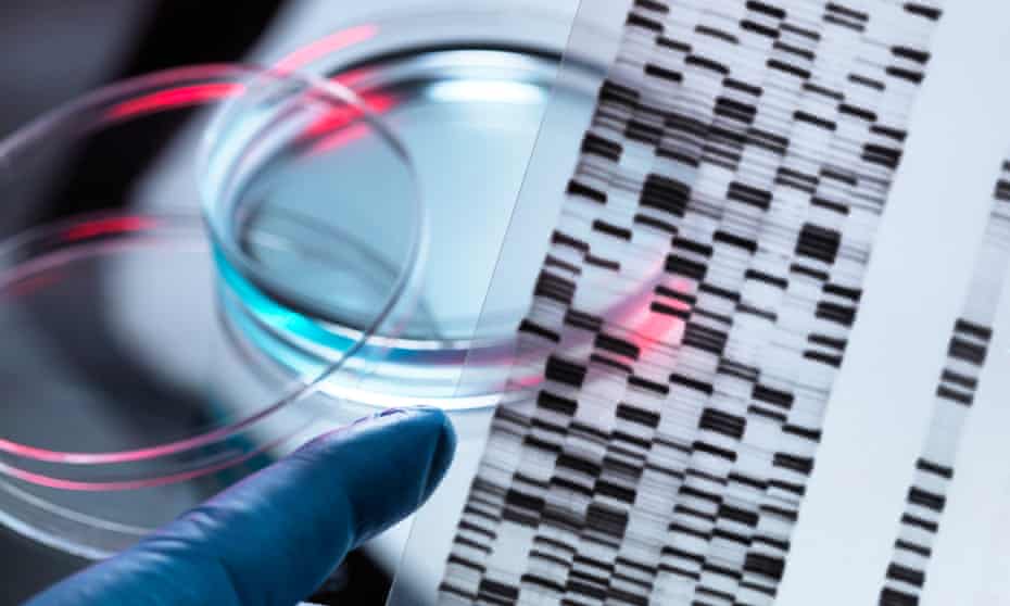 خواست برندگانِ جایزهی نوبل از اتحادیهی اروپا برای کاهش قوانین اصلاح ژنیتیکی