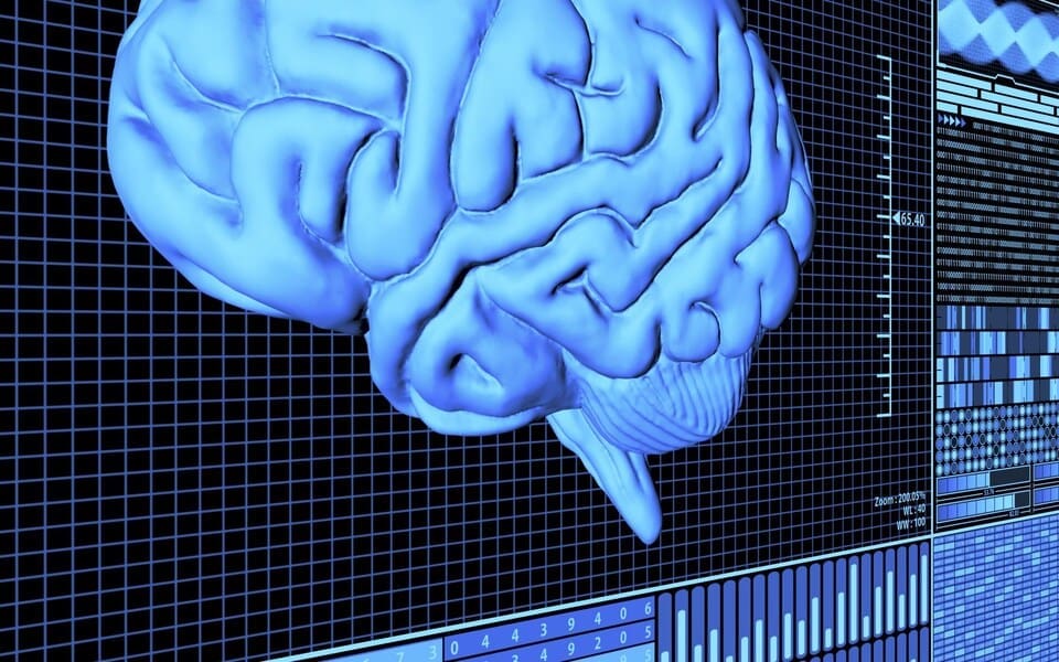 مطالعهی جدید: مغز انسان با تفکرِ زیرک و انعطافپذیر میتواند هوش مصنوعی را شکست بدهد