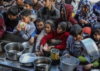 جنگ اسرائیل و حماس؛ گرسنگان غزه گیاهان وحشی می‌خورند