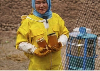 سازمان ملل برای زنان روستایی افغانستان فرصت زنبورداری فراهم می‌کند