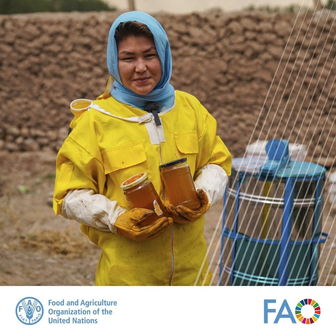 سازمان ملل برای زنان روستایی افغانستان فرصت زنبورداری فراهم میکند