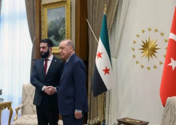 از سقوط اسد تا آینده سوریه؛ اردوغان و الشرع برای نخستین‌بار دیدار کردند