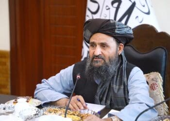 طالبان می‌گوید افغانستان در ۱۳۰ بخش به «خودکفایی کامل» رسیده است