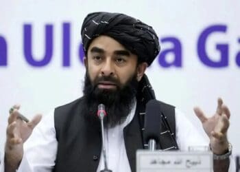 طالبان بازداشت محمودشاه حبیبی را رد کرد