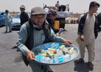 همبستگی در بحران؛ هراتیان با کاروان همدلی به یاری مهاجران اخراج‌شده از ایران رفتند