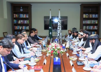 وزیر خارجه‌ی طالبان: دولت پاکستان از ضیاع حقوق مهاجران افغانستان جلوگیری کند