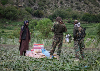 سازمان آلمانی: طالبان در کمک به زلزله‌زدگان «فعال» است، اما امکانات و تخصص کافی ندارد