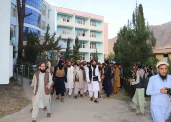 دانشجویی در کنر از سوی هم‌دانشگاهی خود کشته شد