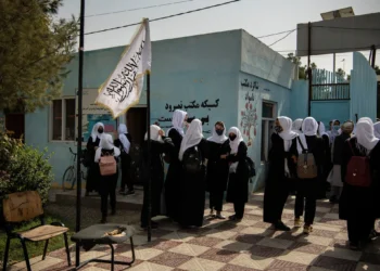 طالبان به مردان زندانی زمینهی آموزش فراهم میکند، اما به زنان آزاد نه