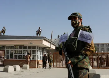 گزارش شورای امنیت: القاعده احتمالاً به طالبان در تولید پهپاد کمک کرده است