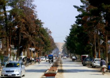 جبههی آزادی مدعی کشتن ۲ نیروی طالبان در فاریاب شد