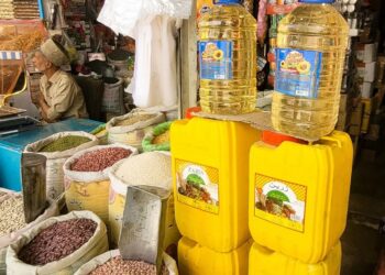 برنامهی جهانی خوراک: وابستگی به واردات مواد خوراکی در افغانستان افزایش یافته است