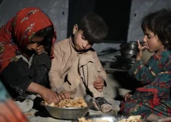 ملل متحد: نزدیک به ۱۸ میلیون تن در افغانستان در معرض گرسنگی شدید قرار دارند