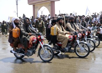 گزارش شورای امنیت: طالبان هنوز از القاعده حمایت میکند