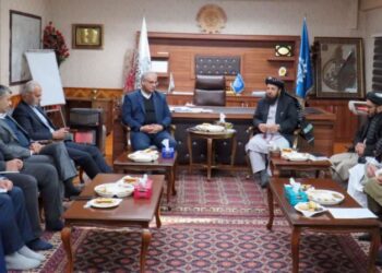 معین وزارت کار طالبان: بیکاری چالش بزرگی برای افغانستان است