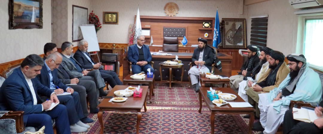 معین وزارت کار طالبان: بیکاری چالش بزرگی برای افغانستان است