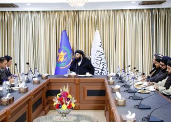 طالبان: جاپان می‌گوید به امور داخلی افغانستان کاری ندارد