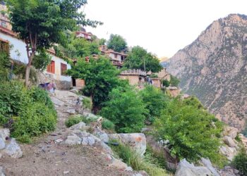 طالبان در وانت نورستان انجام کارهای شاقه توسط زنان را منع کرد