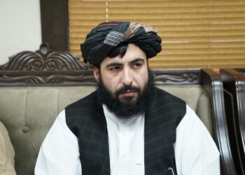 طالبان: سطح فساد اداری نسبت به گذشته زیاد کاهش یافته است