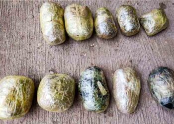 ازبیکستان می‌گوید یک شهروند افغانستان را با ۱۰ کیلوگرام مواد مخدر بازداشت کرده است