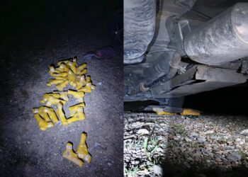 طالبان می‌گوید سلاح‌های قاچاق‌شده از پاکستان را ضبط کرده است