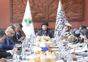 وزیر طالبان: امسال سال استقلال مواد خوراکی افغانستان است