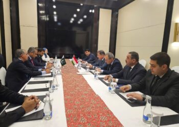 پاکستان: تاجیکستان می‌گوید ۲۵ گروه هراس‌افگن در افغانستان حضور دارند
