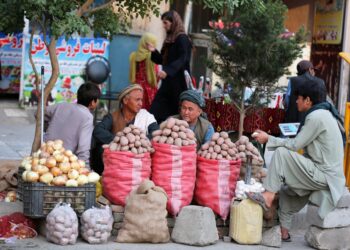 بانک جهانی: صادرات و واردات افغانستان در ماه می کاهش یافتند