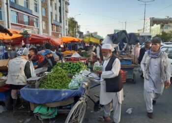 قیمت اکثر اقلام خوراکی بالاتر از سال گذشته است