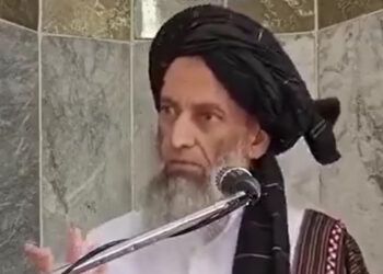 روند سبز: طالبان یحیی عنابی را در پنجشیر بازداشت کرد