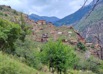 جبههی آزادی: عملیاتی علیه نیروهای طالبان در نورستان انجام دادیم