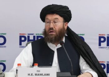 طالبان برای مدرن‌سازی سکتور کشاورزی افغانستان از هند درخواست کمک کرد