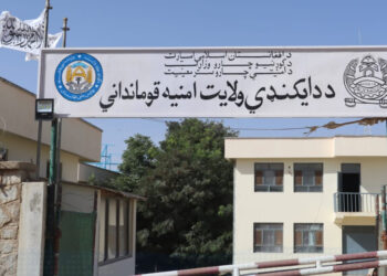 در پی واژگونی یک موتر در دایکندی ۸ تن کشته و زخمی شدند