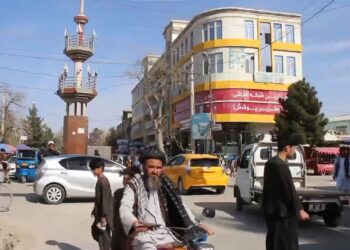 ۶ تن در پی برخورد دو موتر در فاریاب کشته و زخمی شدند