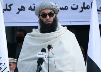 خالد حنفی: در رژیم طالبان عالمان و بزرگان قومی از جایگاه بلندی برخوردارند