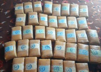 طالبان از ضبط ۳۸ کیلوگرام چرس در بدخشان خبر داد