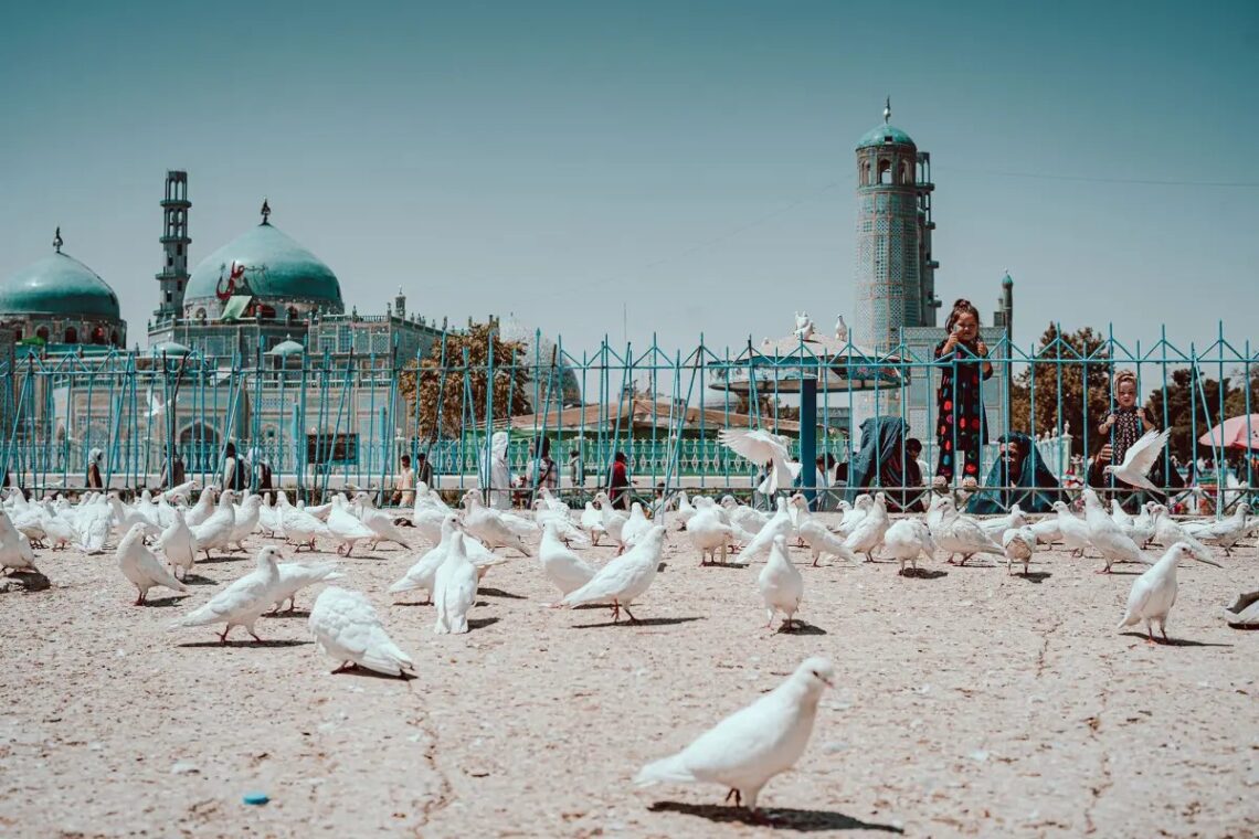 طالبان ۱۰ هزار جریب زمین در بلخ را دولتی اعلام کرد