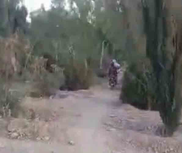 جبههی متحد مدعی کشتن یک محتسب طالبان شد