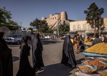 معاون حوزه‌ی دهم امنیتی طالبان در هرات کشته شد